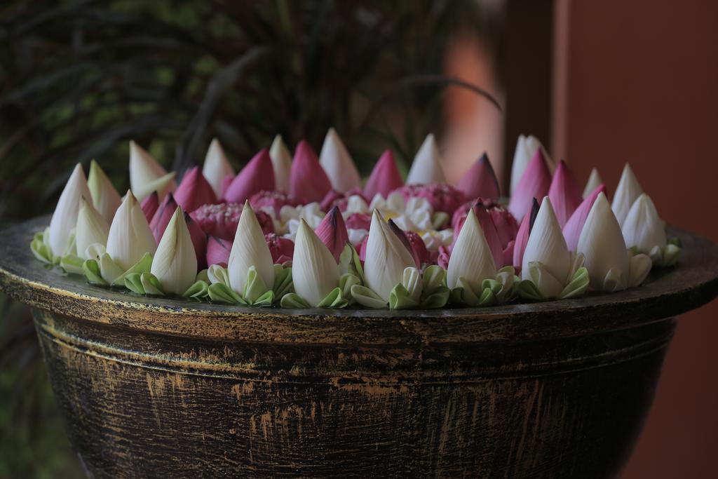 Kouprey Hotel Siem Reap Buitenkant foto